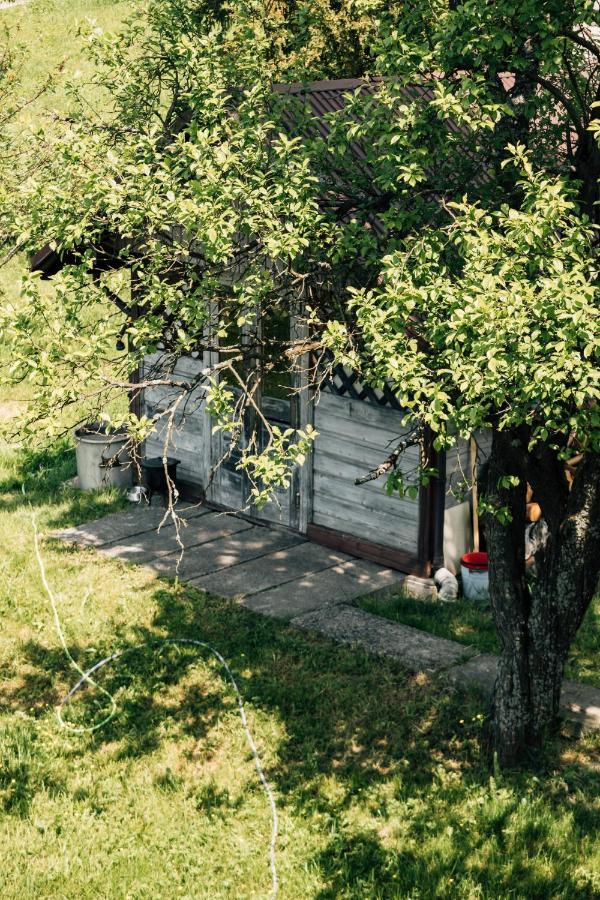 Homestay Madzia
